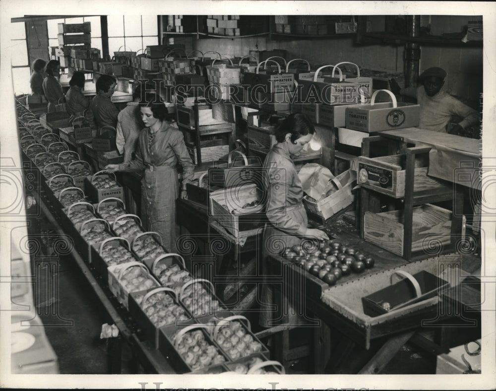 1934 Martha Lesney Puts Tomatoes on Conveyor as Anna Pikar Wraps-Historic Images