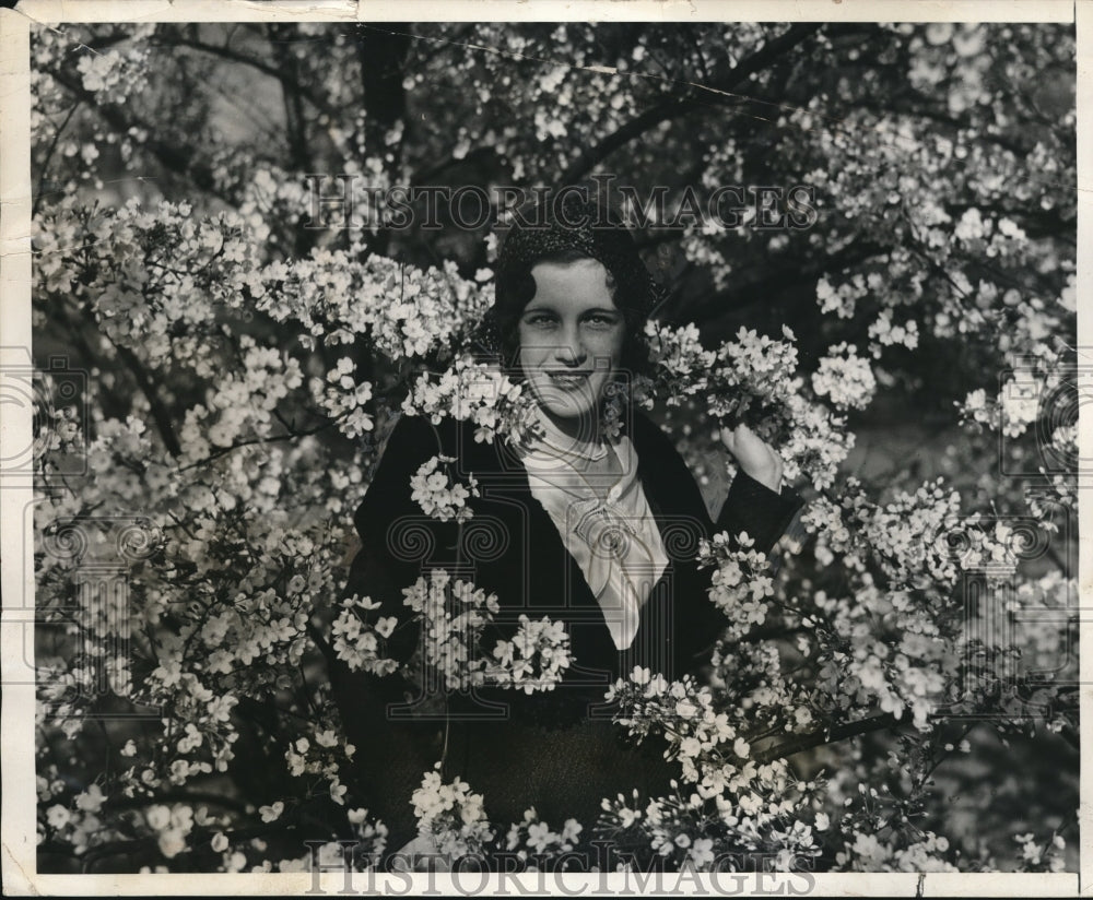 1931 Hazel Dow Admires Japanese Cherry Blossoms in Washington DC - Historic Images