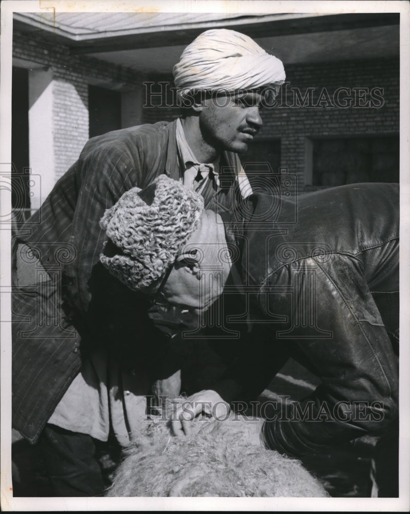 1961 Wilbur Lawrence Mutual Society program Iran Sheep Parasites-Historic Images