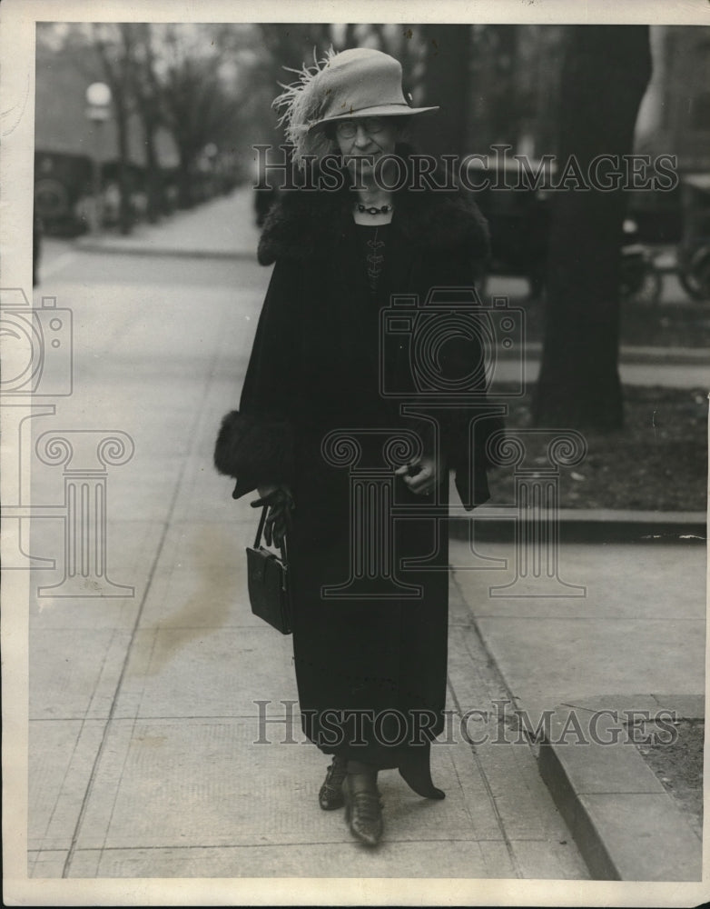 1924 Press Photo Mrs. Curtis D. Wilbur Takes Stroll on Washington Streets-Historic Images