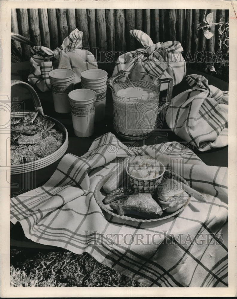 1946 Labor Day &quot;Hobo&quot; Picnic With Red Checked Linen Dish Towels - Historic Images