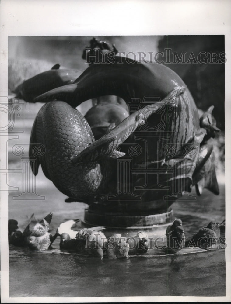 1961 Press Photo London trafalgar Square- Historic Images