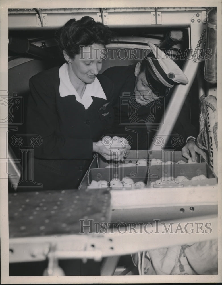 1945 Baby Chicks on Flight From Honolulu to Hayward California-Historic Images