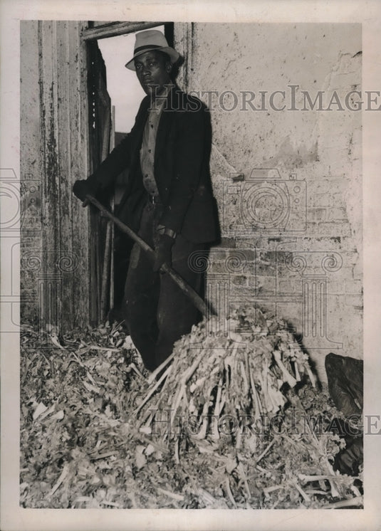 1939 Allen Judge Shows Surplus Food That is Discarded in Columbus - Historic Images