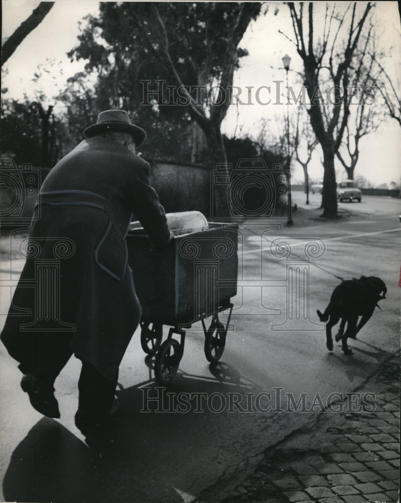 1965 Press Photo Gennaro Del Nunzio Dog pulling cart - neb90488 - Historic Images