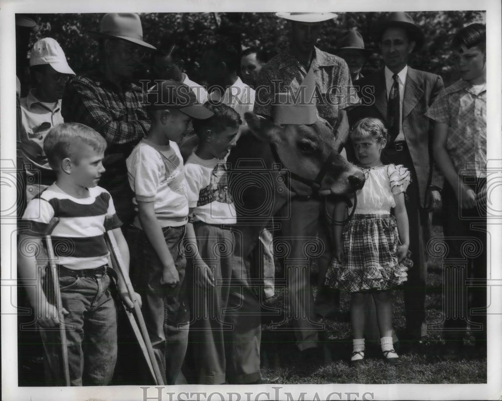 1953 Press Photo a dairy cow crowned Queen at Butter Day Ceremonies - Historic Images