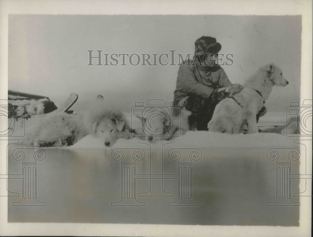 1929 Press Photo Mount Evans Expedition Team Member With Dogs - Historic Images