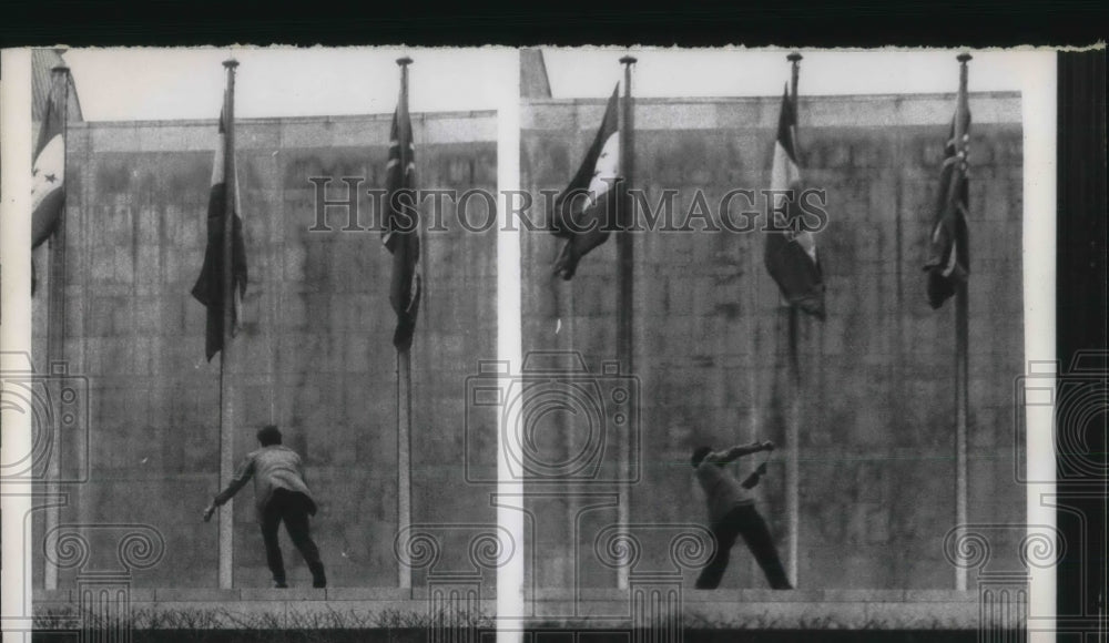 1957 Press Photo George Lovas Climbs United Nations to cut down Hungarian Repub- Historic Images