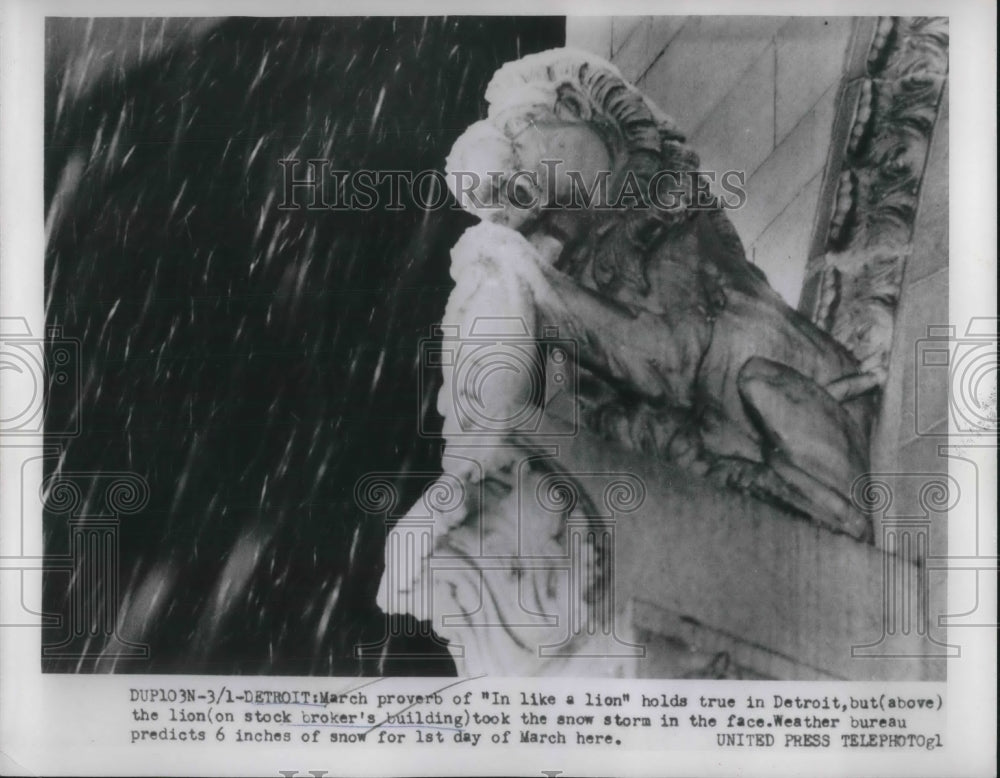 1954 Press Photo Detroit, Mich. Stock brokers bldg. lion decorations in snow-Historic Images