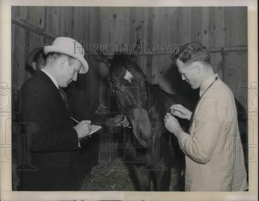 1939 Press Photo Dr. J.N Thomas with Peter Baker have horses tested for health - Historic Images