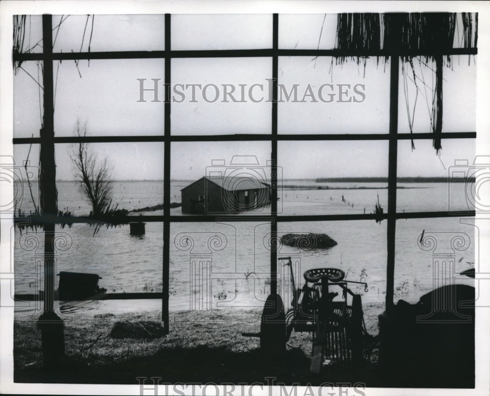 1955 Biesbosch, Netherlands, farm flooded in Noord province - Historic Images