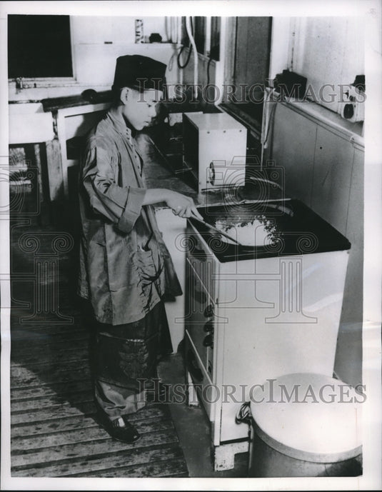 1956 Press Photo electric cooker (the Kwali) in use at British Industries Fair - Historic Images