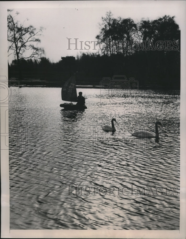 1947 Press Photo Wimbledon Commons lake in London, boaters &amp; swans - Historic Images