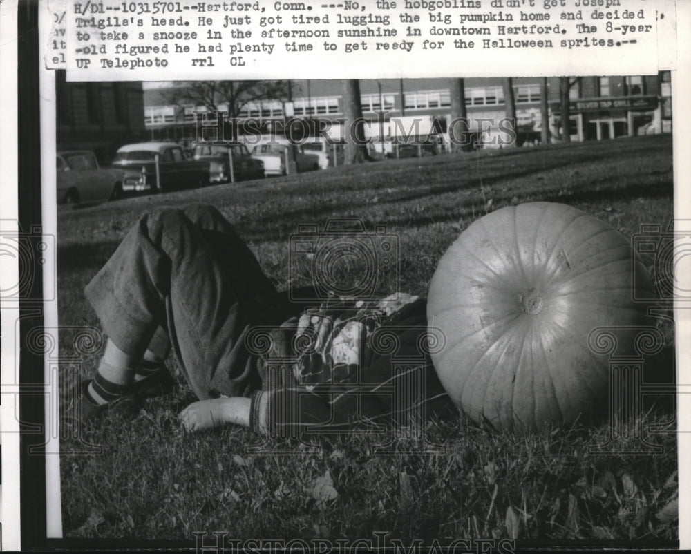 1957 Press Photo Hartford, Conn. Joseph Trigile &amp; his pumpkin in a park - Historic Images