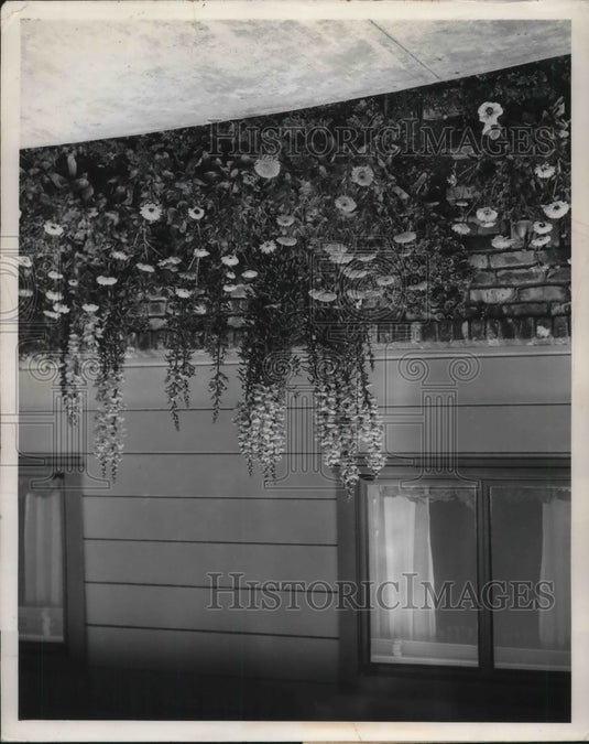 Press Photo Groups of Snapdragons with Calendulas - neb95696-Historic Images