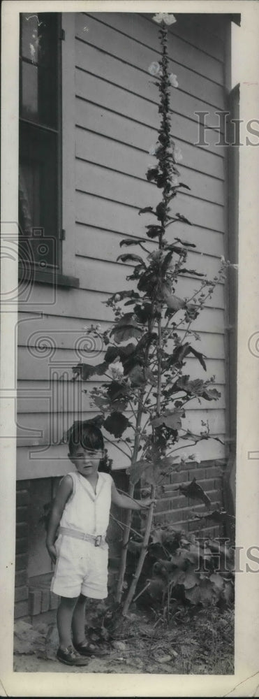 1931 Press Photo Anthony Burke shown standing next to tree near his home-Historic Images