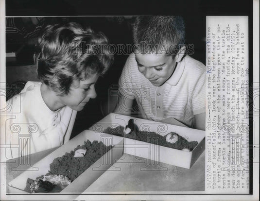1962 Press Photo Diane & Steve Thomas Look at Beginnings of Turtle Farm-Historic Images