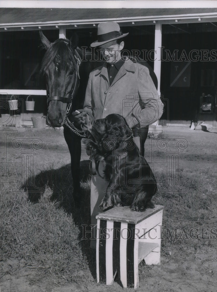 1956 Press Photo Horse &quot;Ike&quot; &amp; Dog Prince Morvi Introduced Miami Florida - Historic Images