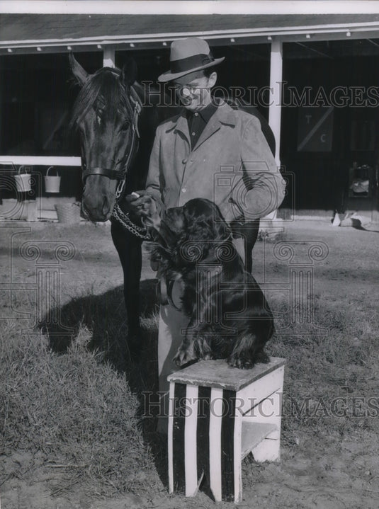 1956 Press Photo Horse "Ike" & Dog Prince Morvi Introduced Miami Florida - Historic Images