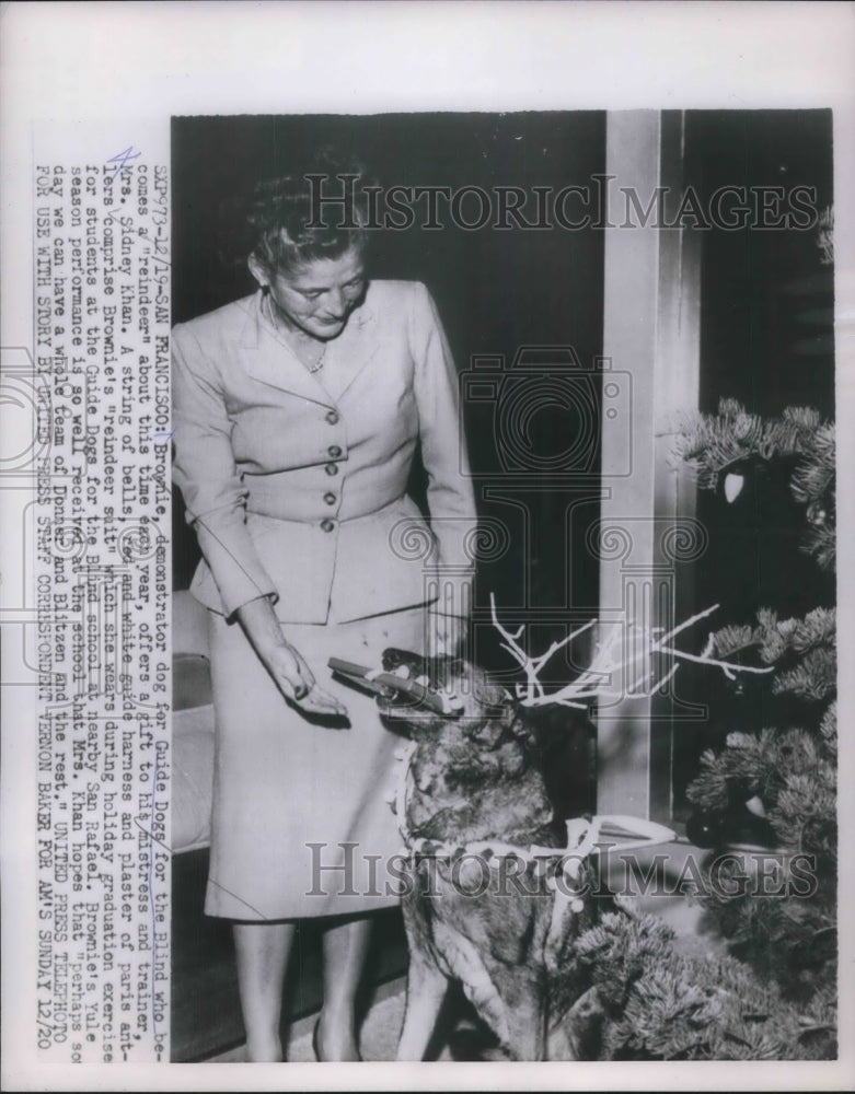 1953 Press Photo Brownie demonstrator dog for guide Dog for the blind - Historic Images