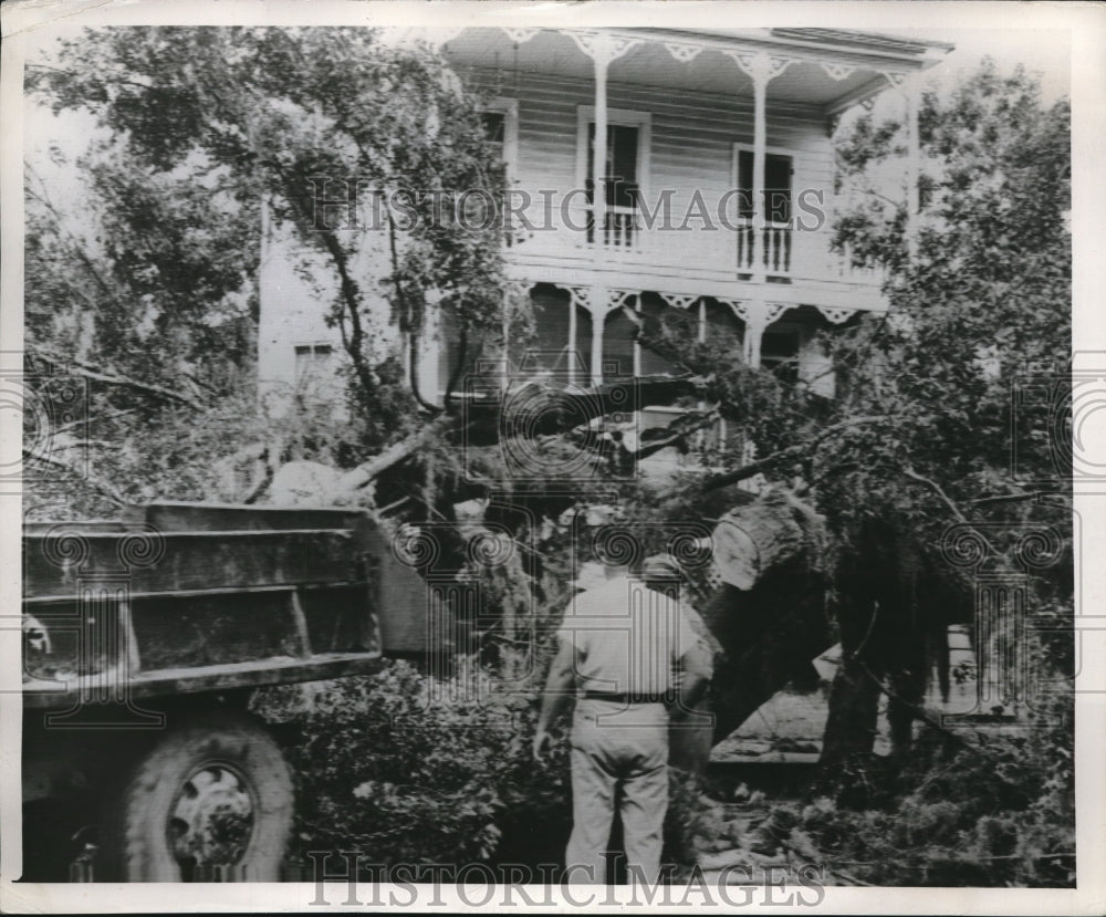 1952 Press Photo Aubrey Drawdy untangles power lines after hurricane struck - Historic Images