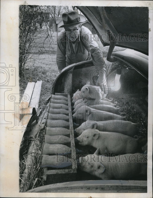 1959 Press Photo Nashville, Tenn Fred Scott & pigs at Cumberland school - Historic Images