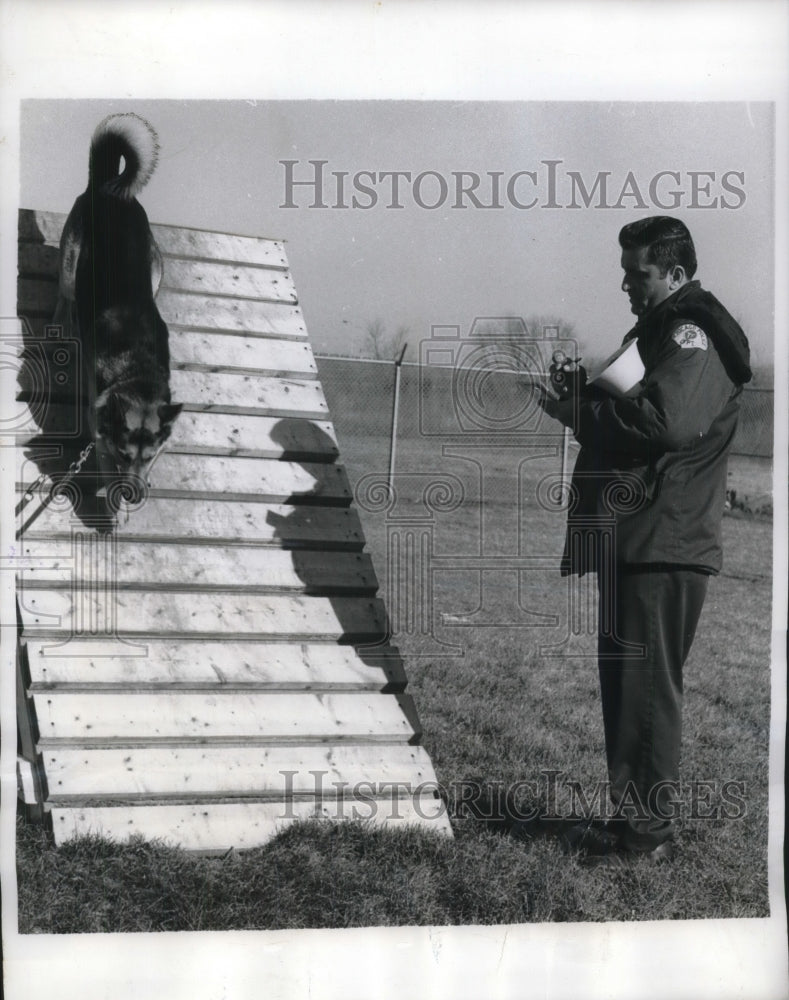 1970 Press Photo Chicago, Ill Trainer Frank Varallo at Police Canine training - Historic Images