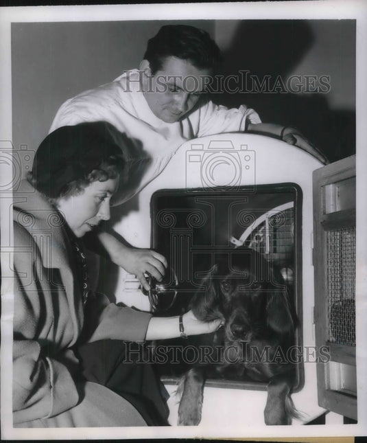 1950 Veterinarian Dr. Schoenert Invents Climate Chamber in Frankfurt - Historic Images