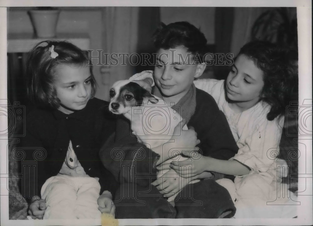 1941 Beatrice Serge, 7, David, 10, Lucille, 8, with pet dog &quot;Spats&quot; - Historic Images