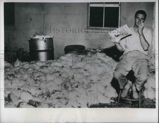 1955 Press Photo Poultry farmer shown after his chickens dies in Fort Wayne Ind-Historic Images