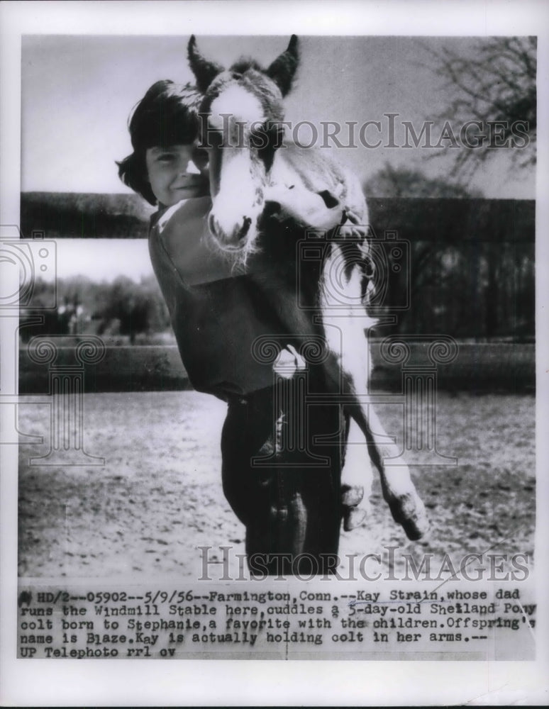 1956 Kay Strain With Her 5 day old Shetland Pony - Historic Images