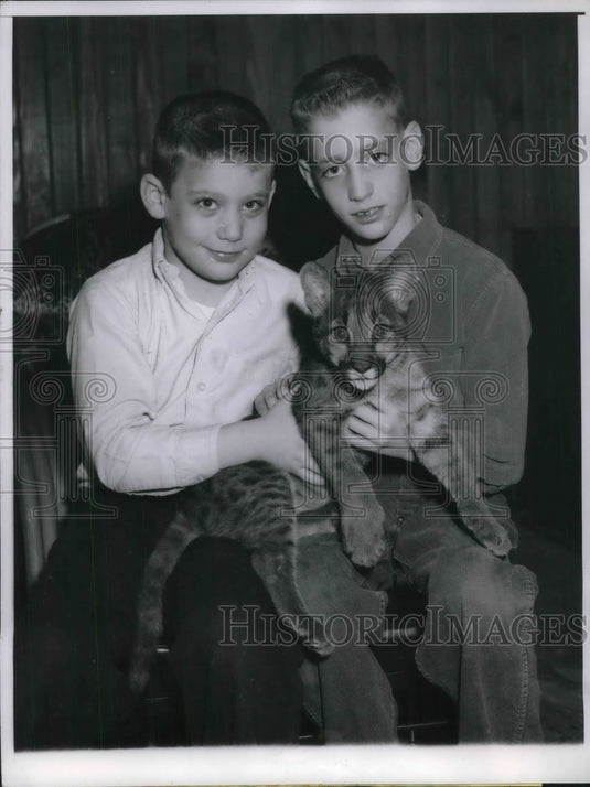 1959 Press Photo Jerry Kontor, Robert Kontor, with a South American Puma - Historic Images