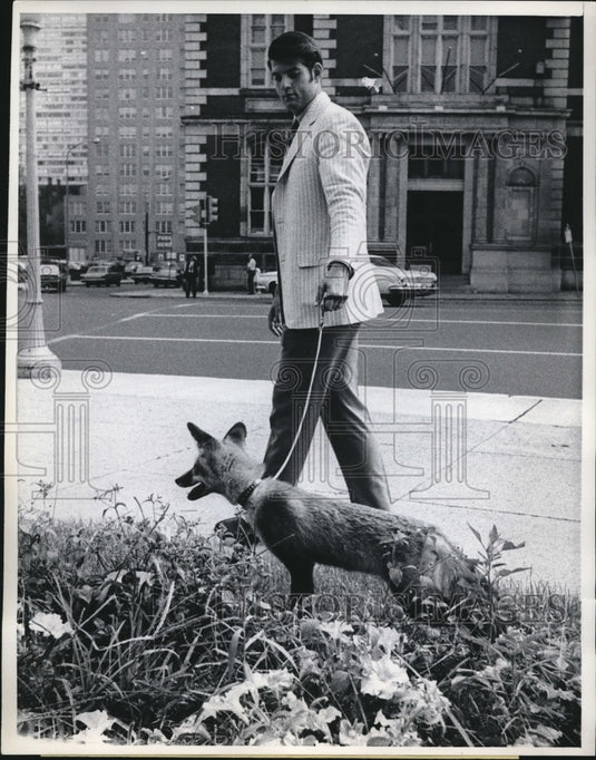 1969 Pat Valentine Natural Science Academy Walks Pet Red Fox Coley - Historic Images