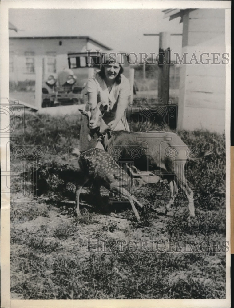 1932 Press Photo Fawn Being Fostered by Goat John Melin Ranch Oregon-Historic Images