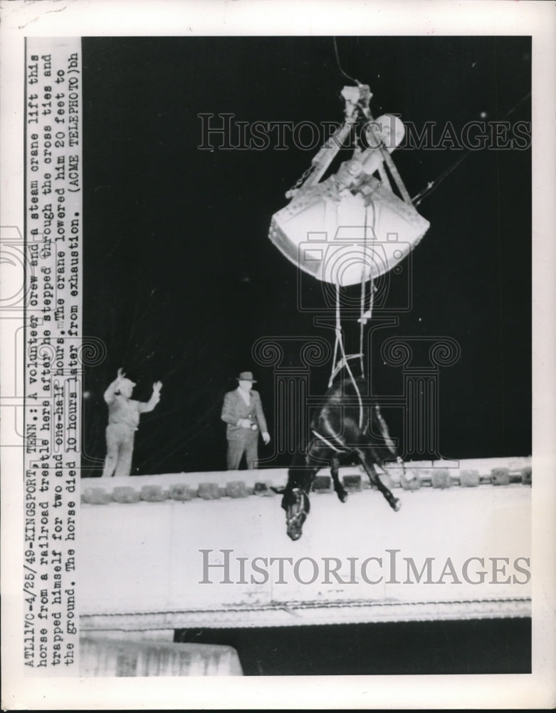 1949 Press Photo Steam Crane Lifts Horse From Railroad Trestle Onlookers Rejoice-Historic Images