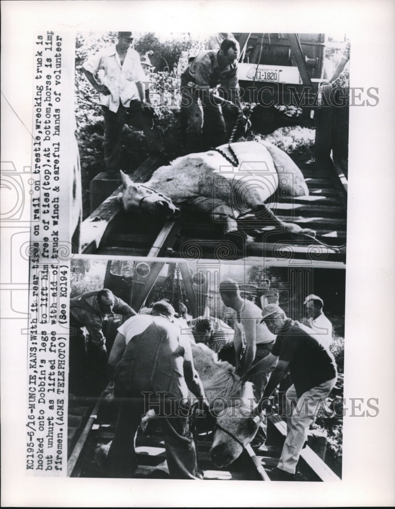 1950 Firemen Make Attempt to Rescue Horse Stuck in Railroad Ties - Historic Images