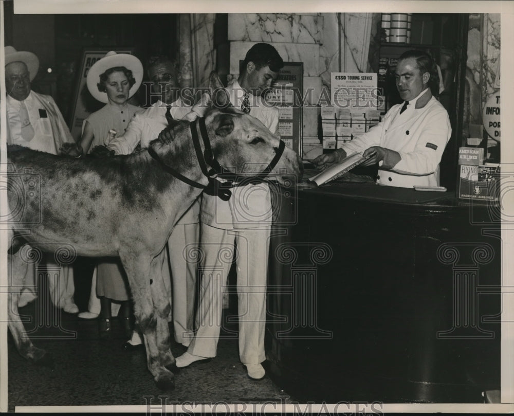 1936 New York state Donkey lends authentic color to Democrat - Historic Images