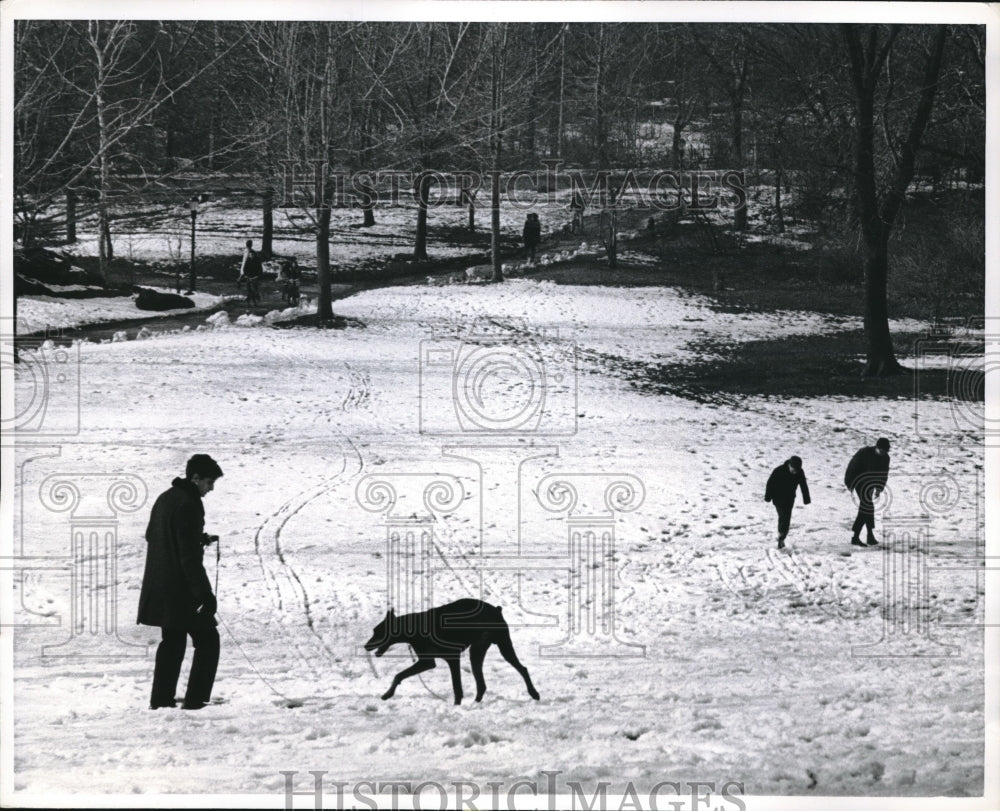 1966 Press Photo A boy and his dog romping on snow covered Central Park - Historic Images