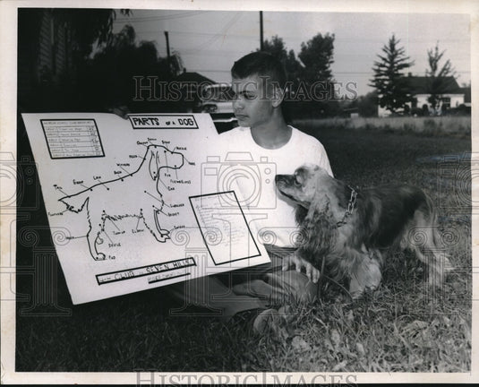 1959 Roger Cimino displays poster showing parts of a dog - Historic Images