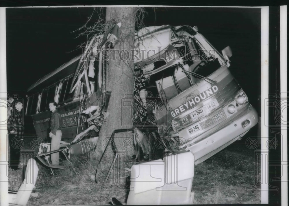 1961 New York Greyhound Wraps Around Tree Off Rain Slick Highway - Historic Images