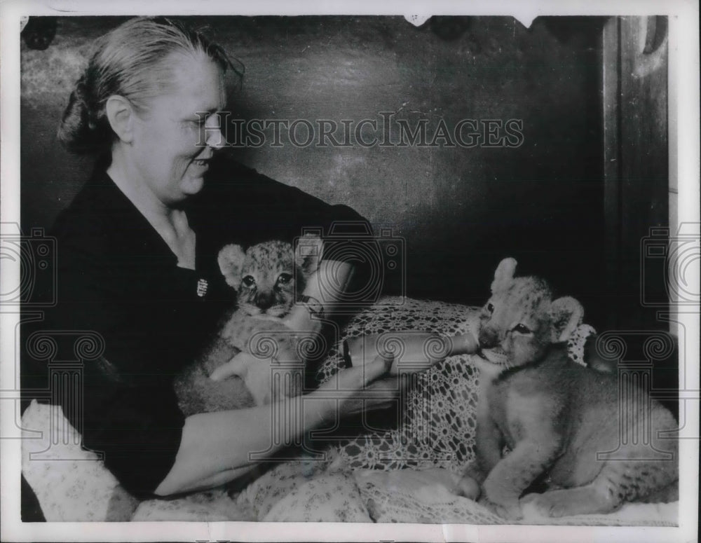 1957 Press Photo Nonosibirsk City Zoo Worker A. Moshkina Feeds Cubs - Historic Images