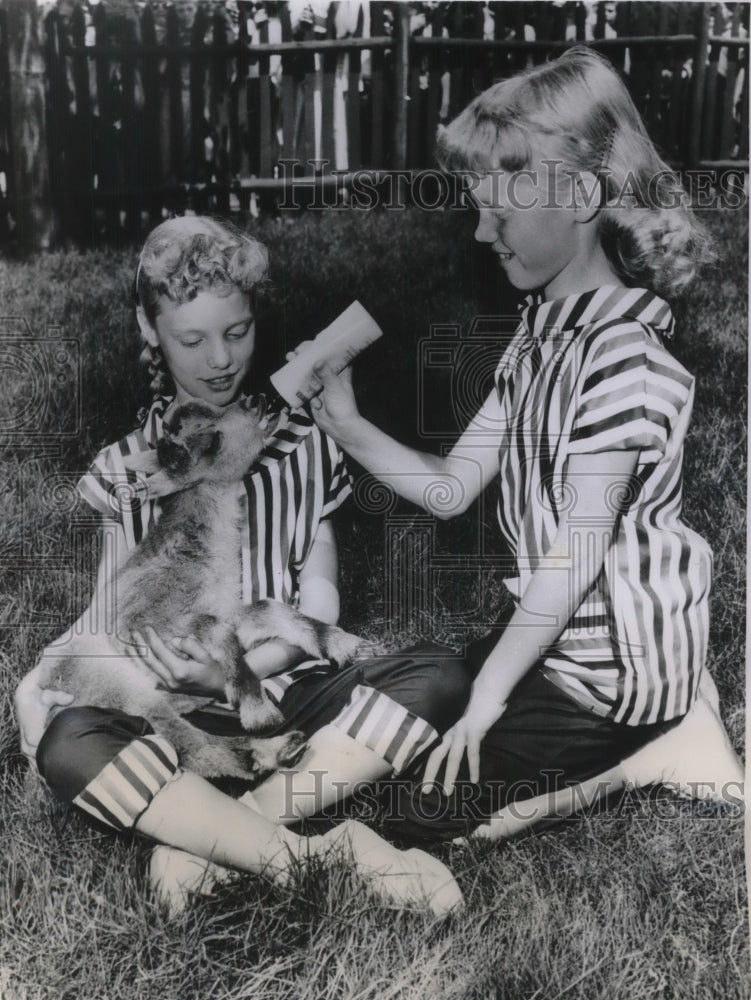 1956 Press Photo Chicago, Ill Joan &amp; Jean Meland feed an ibex goat at Brookfield - Historic Images