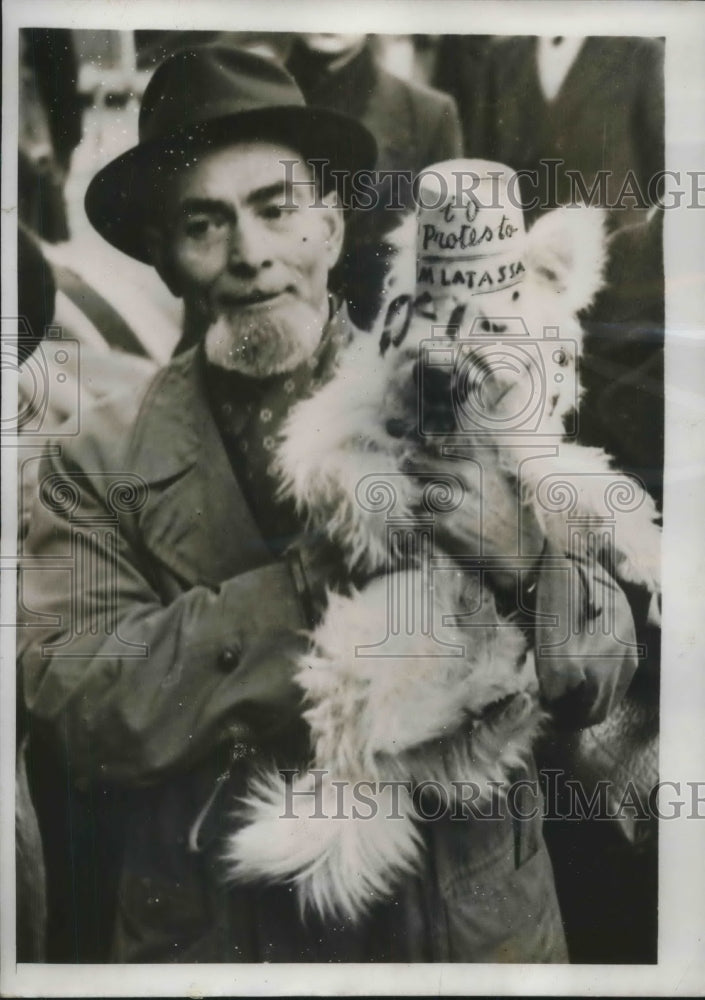 1949 French Poodle &amp; Owner Protest Death To Taxes - Historic Images