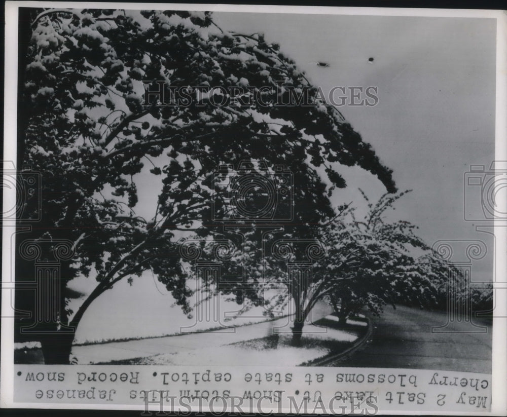 1950 Snowstorm in Salt Lake City, UT - Historic Images