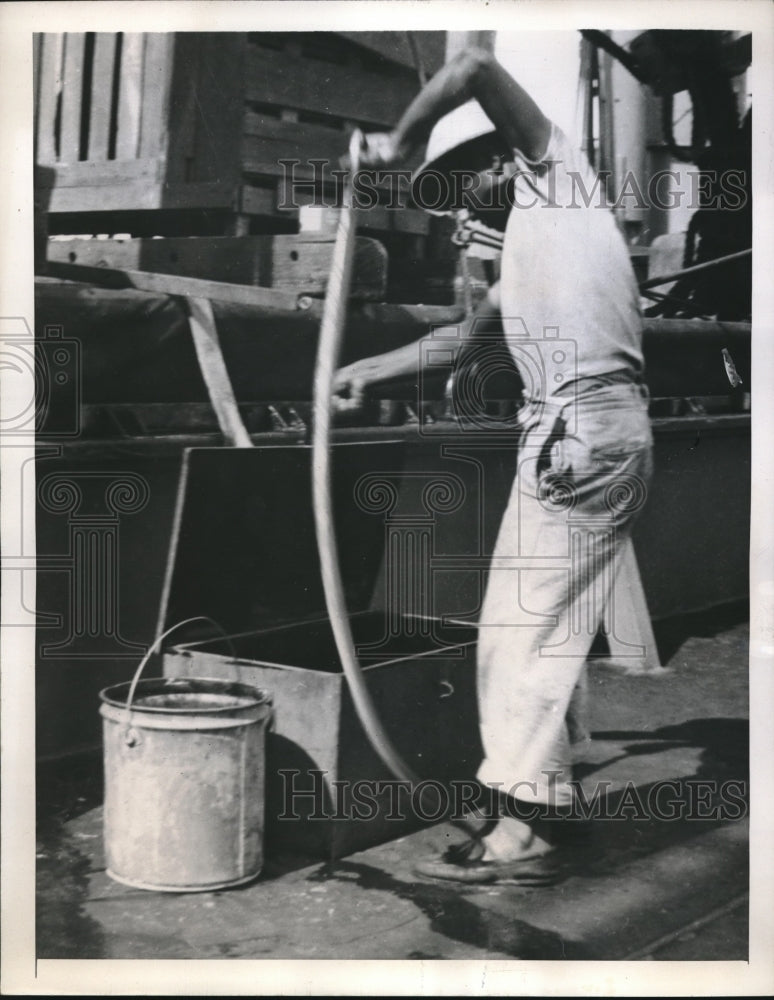 1946 Press Photo Escaped Cobra Caught Phildadelphia - nec02964 - Historic Images