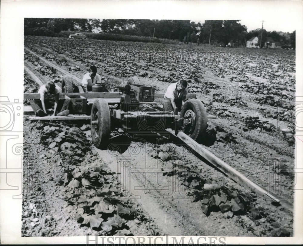 1949 Press Photo View of farmer using machine to pick pickles in Michigan-Historic Images