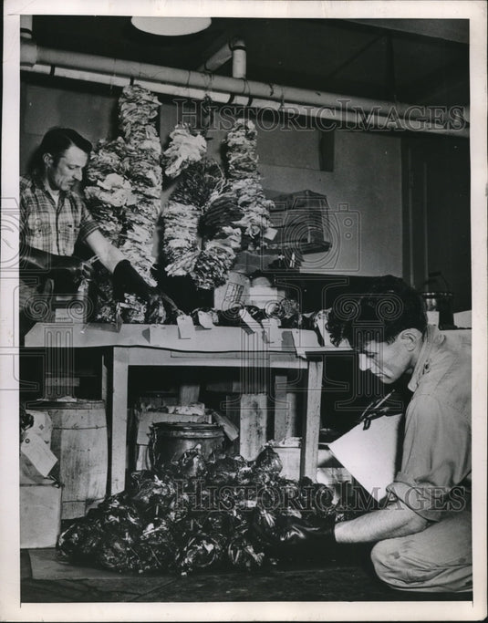 1948 Press Photo Ed Maunton & Arthur Cook Check The Harvest Of Beavers - Historic Images