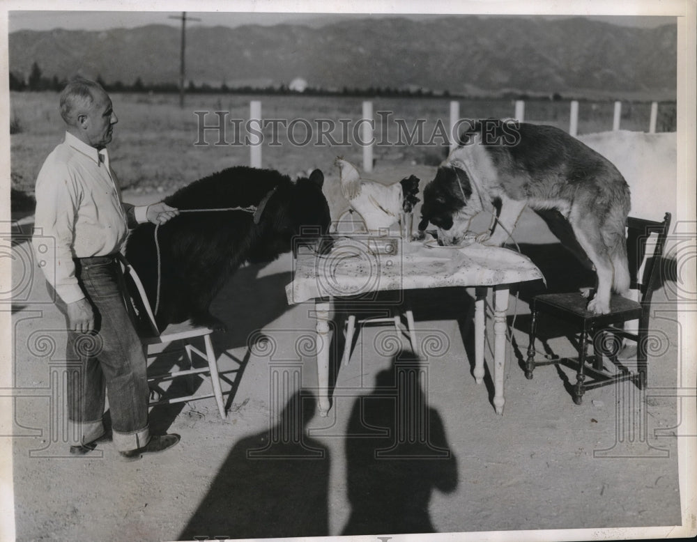 1935 Press Photo President L.F. Compert of Hollywood, California Training Pets-Historic Images