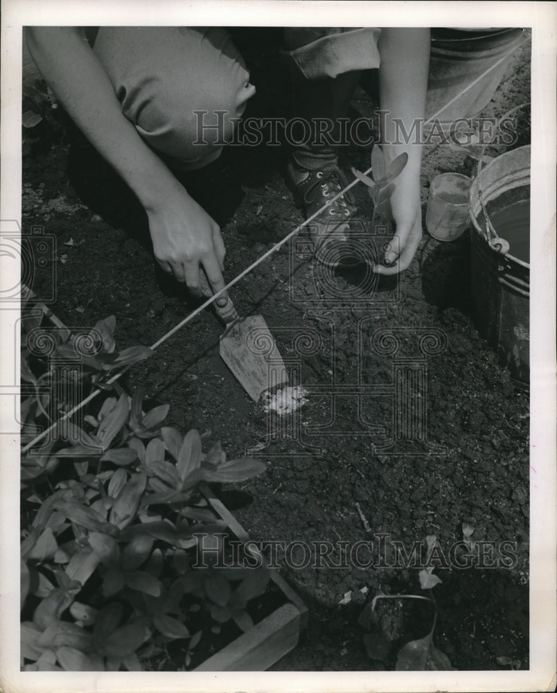 1954 Gardener With Shovel Gardening - Historic Images