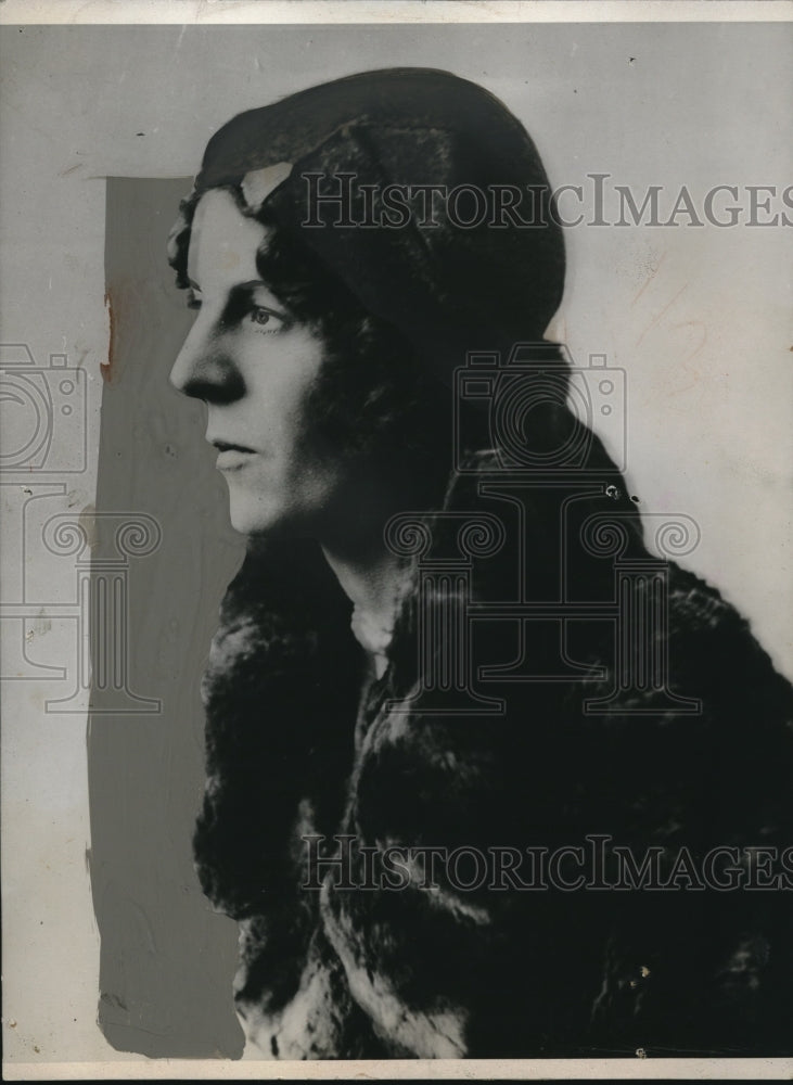 1933 Press Photo New Portrait Of Mrs William Sydney Bence - Historic Images